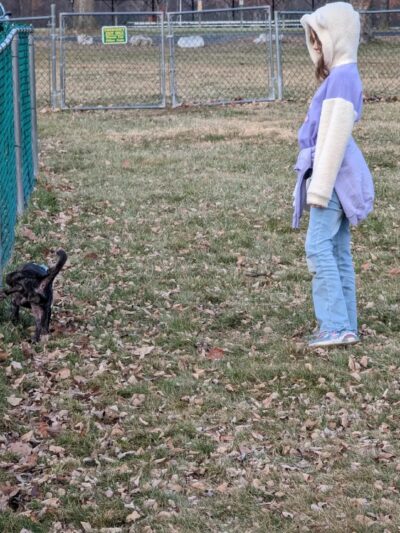 Palatine Bark Dog Park - Germantown, NY