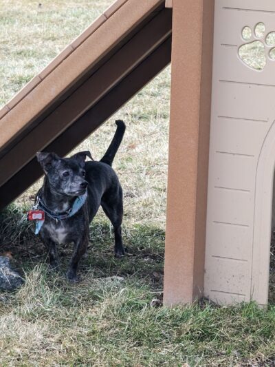 Palatine Bark Dog Park - Germantown, NY