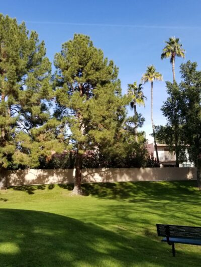 A Cooler Park - Gilbert, AZ