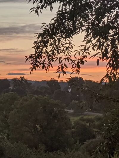 Gill Saint Bernards Easement - Gladstone, NJ