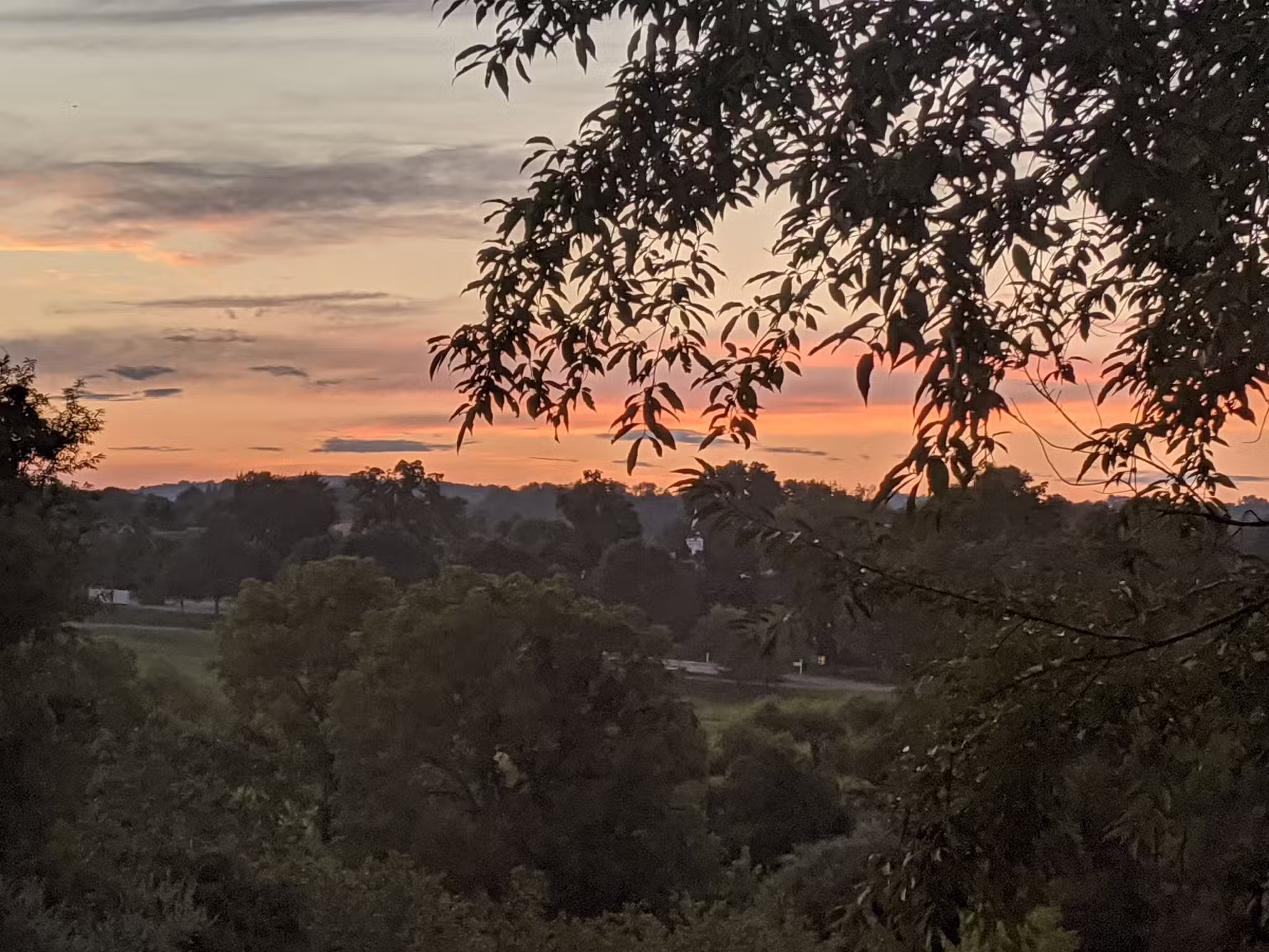 Gill Saint Bernards Easement - Gladstone, NJ