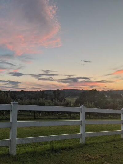 Gill Saint Bernards Easement - Gladstone, NJ