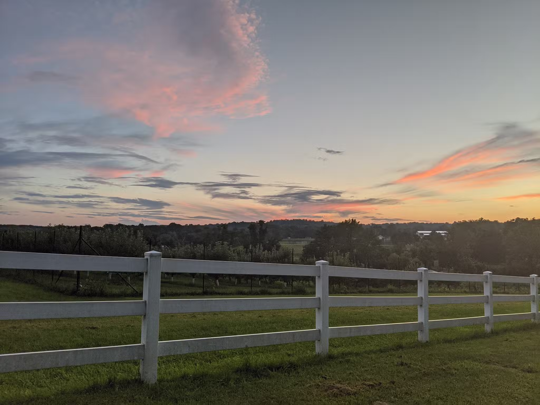 Gill Saint Bernards Easement - Gladstone, NJ
