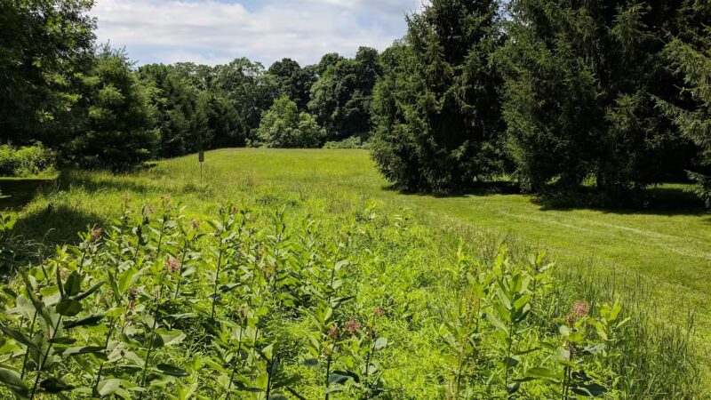 Gill Saint Bernards Easement - Gladstone, NJ