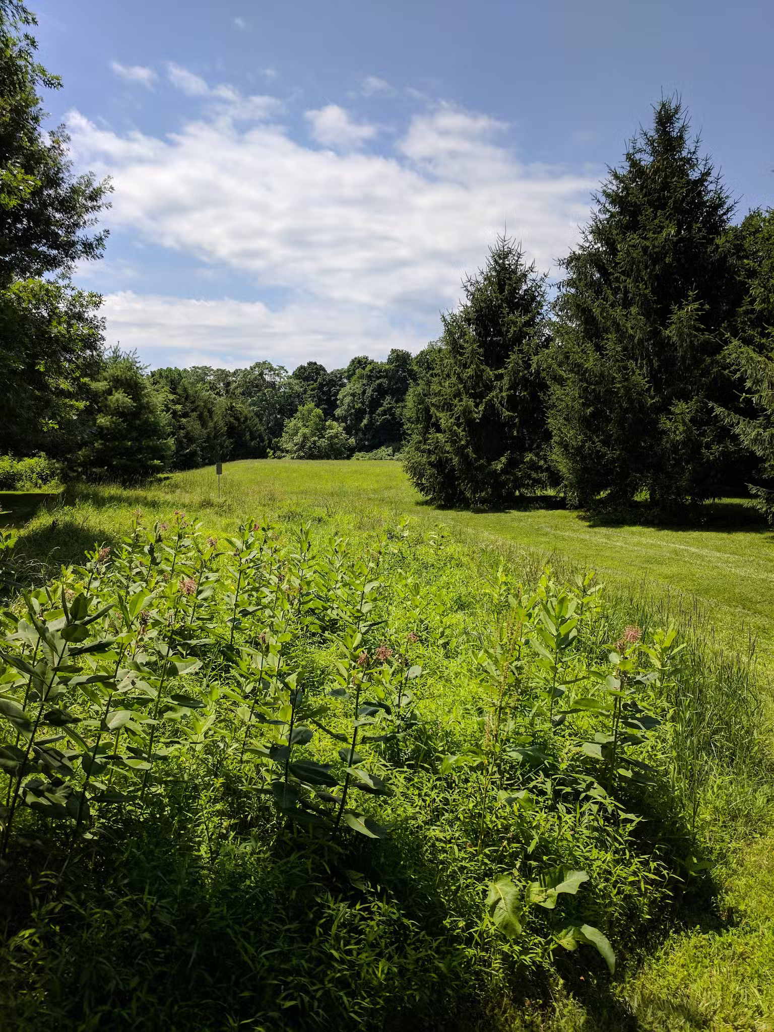 Gill Saint Bernards Easement - Gladstone, NJ