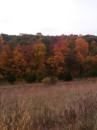 Komline Park - Gladstone, NJ