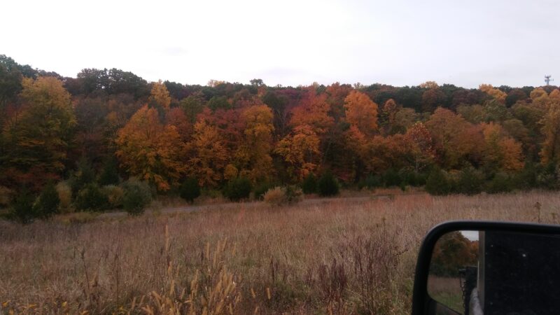 Komline Park - Gladstone, NJ