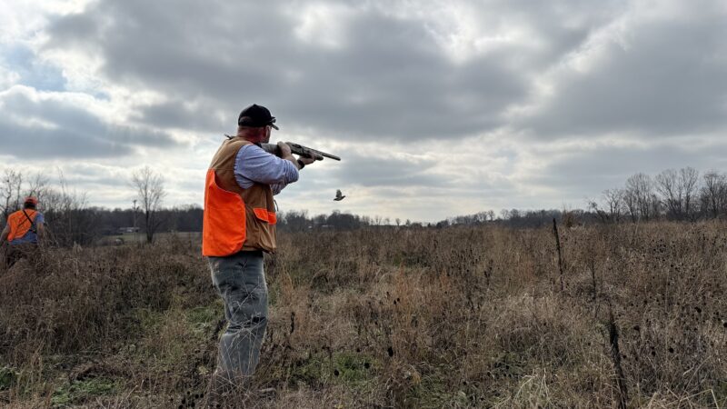 Backcountry Shooting Preserve - Glasgow, KY