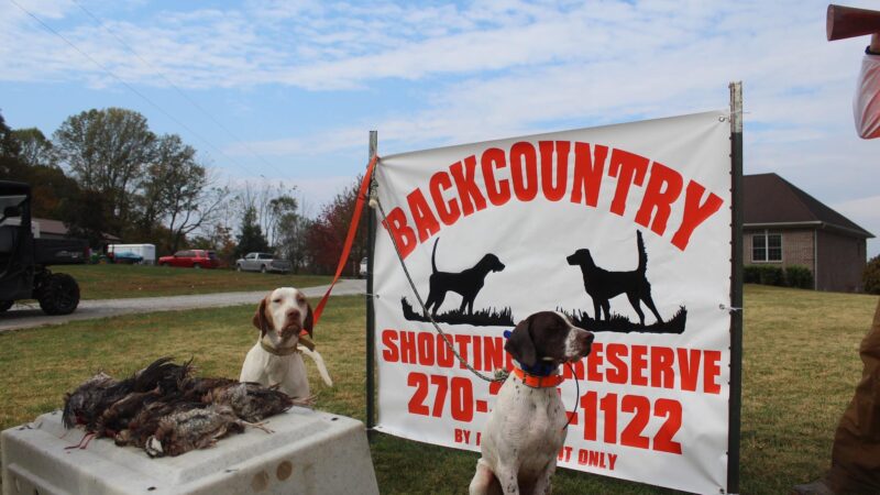 Backcountry Shooting Preserve - Glasgow, KY