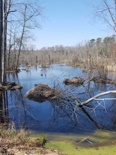 Bicycle Trail Glassboro/Williamstown - Glassboro, NJ