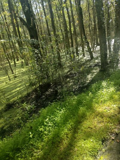 Bicycle Trail Glassboro/Williamstown - Glassboro, NJ