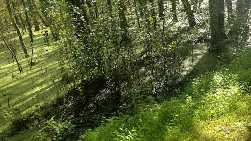 Bicycle Trail Glassboro/Williamstown - Glassboro, NJ