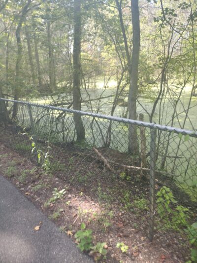 Bicycle Trail Glassboro/Williamstown - Glassboro, NJ