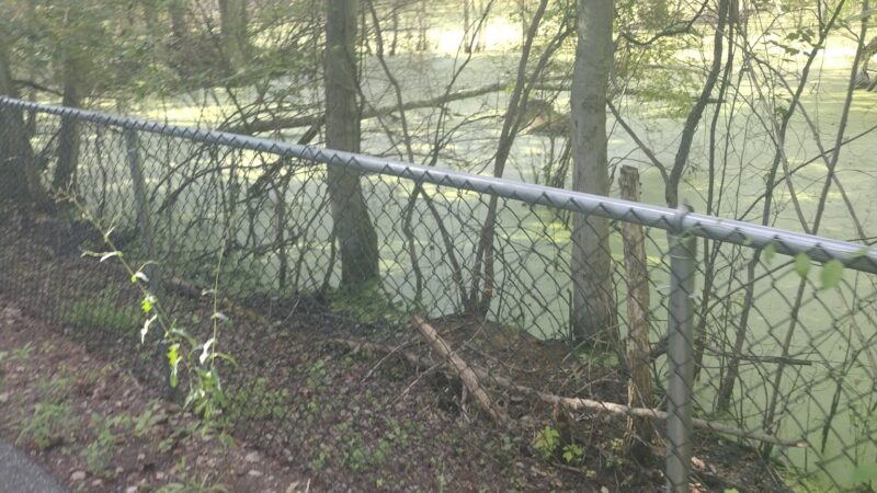 Bicycle Trail Glassboro/Williamstown - Glassboro, NJ