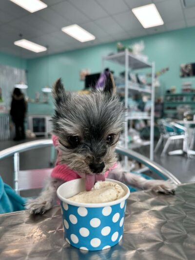 Salty Paws Rva - Glen Allen, VA