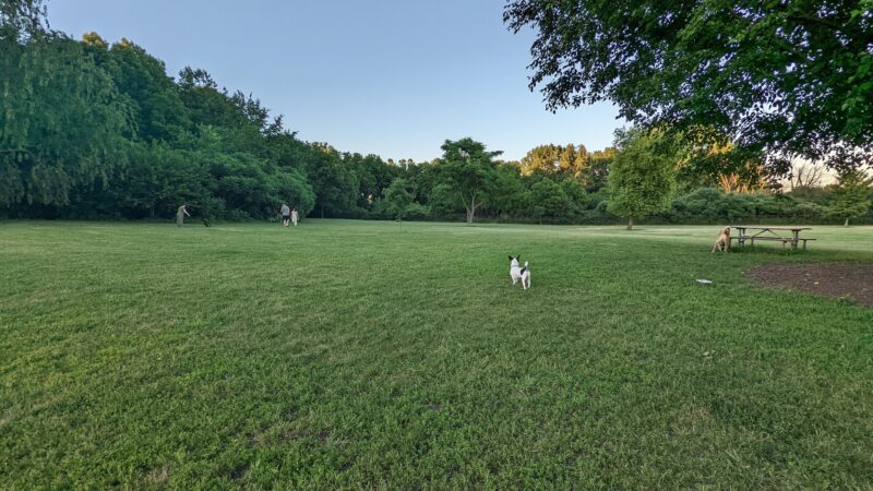 Spring Avenue Dog Park - Glen Ellyn, IL