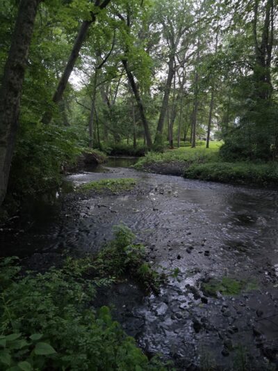 Diamond Brook Park - Glen Rock, NJ