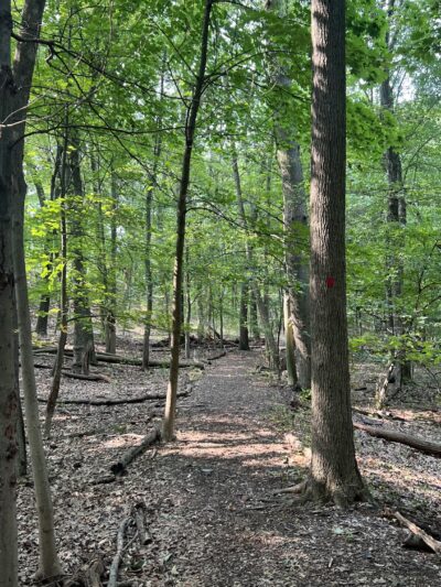 Diamond Brook Park - Glen Rock, NJ