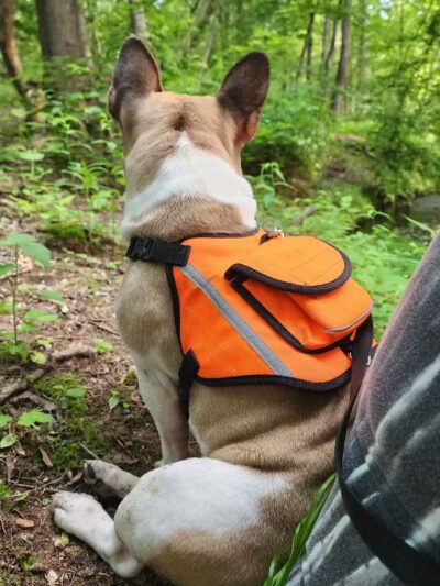 Diamond Brook Park - Glen Rock, NJ