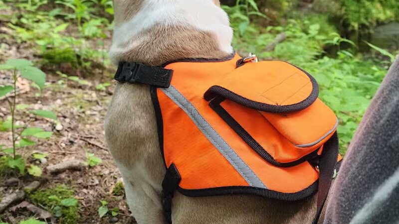 Diamond Brook Park - Glen Rock, NJ