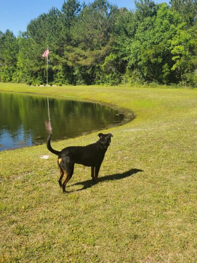 Veterans Memorial Park - Glen St Mary, FL