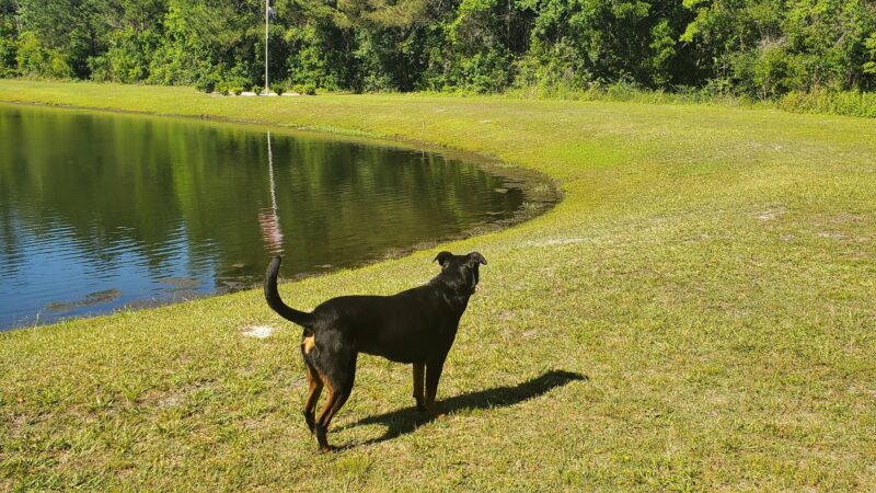 Veterans Memorial Park - Glen St Mary, FL