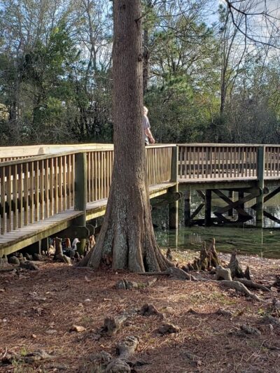 Veterans Memorial Park - Glen St Mary, FL