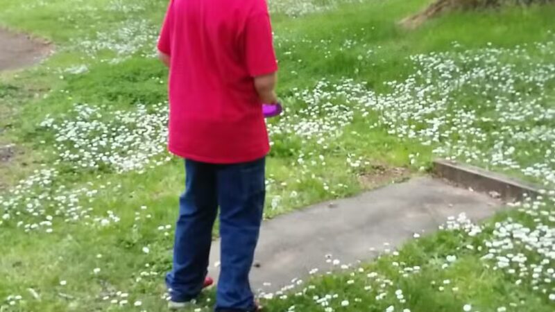 Glendale City Park - Glendale, OR