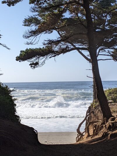 Gleneden Beach State Recreation Site - Gleneden Beach, OR