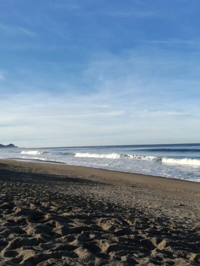 Gleneden Beach State Recreation Site - Gleneden Beach, OR