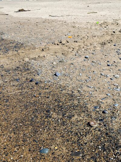 Gleneden Day Area Parking - Beach Access - Gleneden Beach, OR