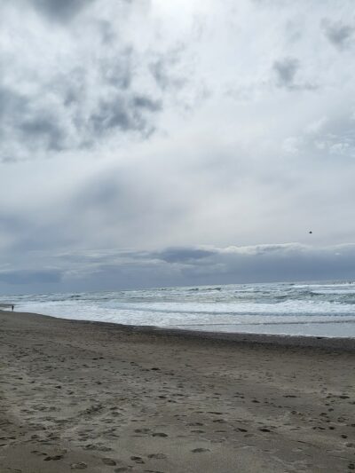 Gleneden Day Area Parking - Beach Access - Gleneden Beach, OR