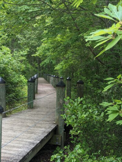 Warfields Pond Park - Glenwood, MD