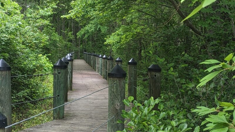 Warfields Pond Park - Glenwood, MD
