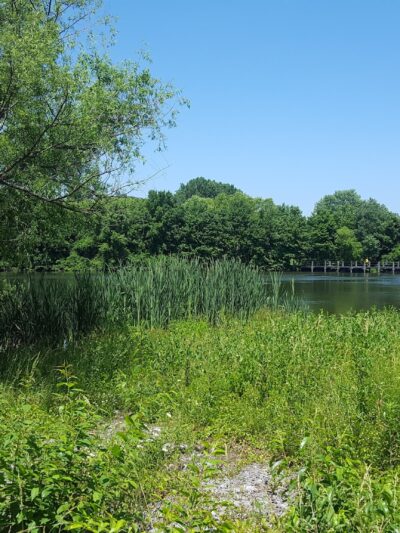Warfields Pond Park Parking Lot - Glenwood, MD