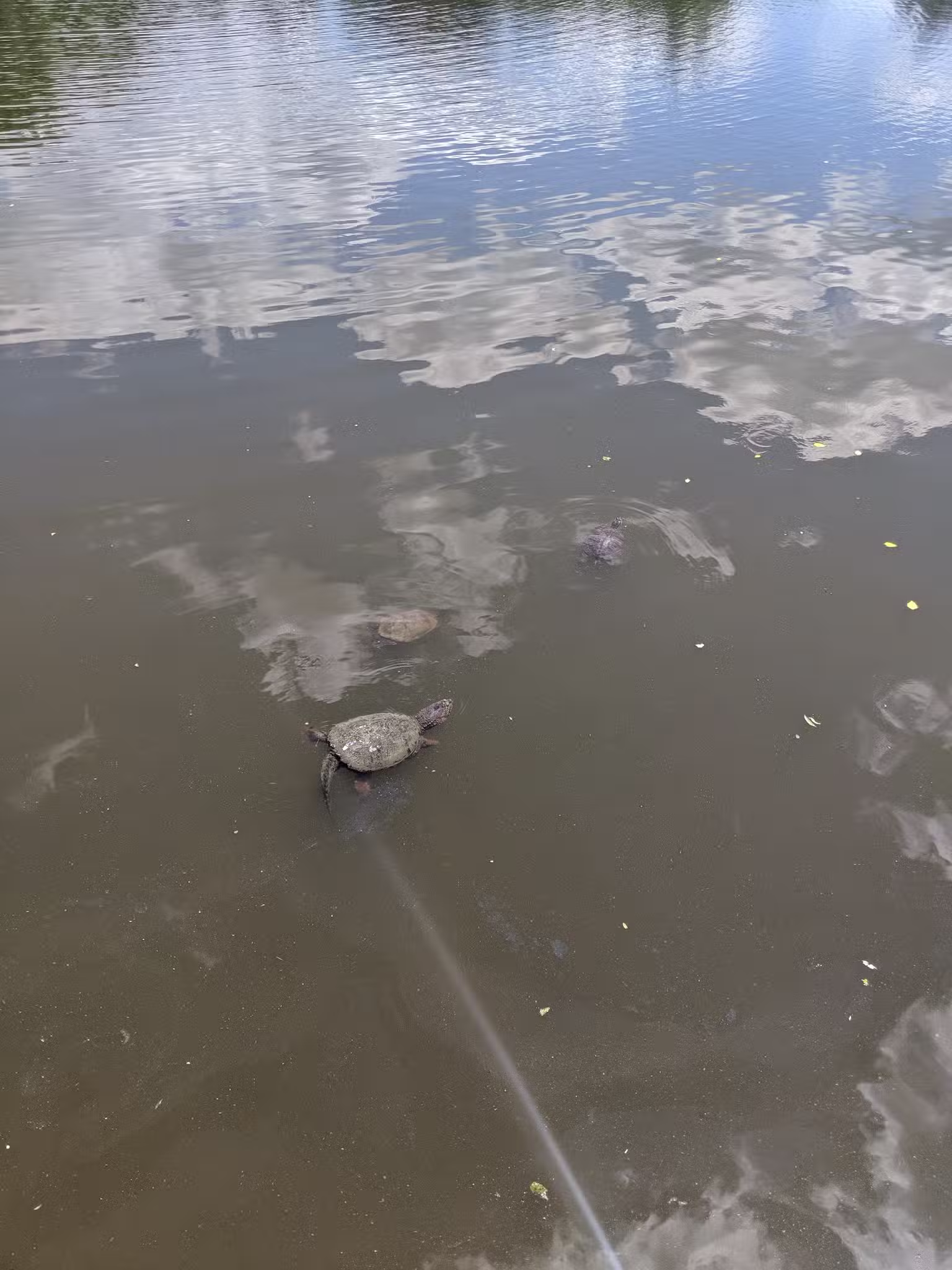 Warfields Pond Park - Glenwood, MD
