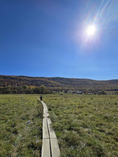 Pochuck Boardwalk Suspension Bridge - Glenwood, NJ
