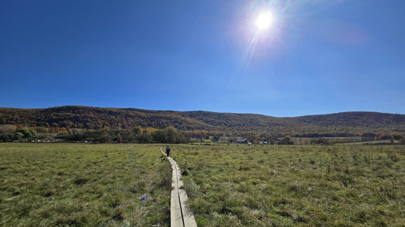 Pochuck Boardwalk Suspension Bridge - Glenwood, NJ
