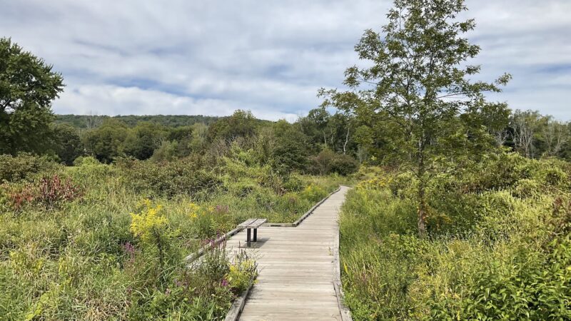 Pochuck Boardwalk Suspension Bridge - Glenwood, NJ