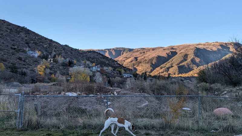 O'Leary & Rivertrail Dog Park - Glenwood Springs, CO