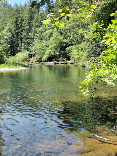 Wolf Creek Campground - Glide, OR