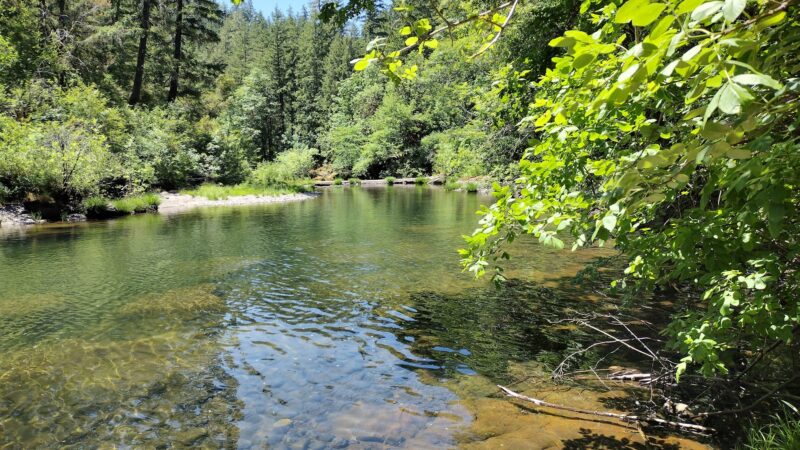 Wolf Creek Campground - Glide, OR