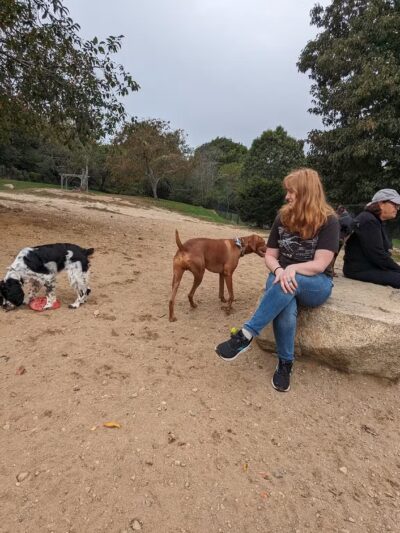 Gloucester Dog Park - Gloucester, MA