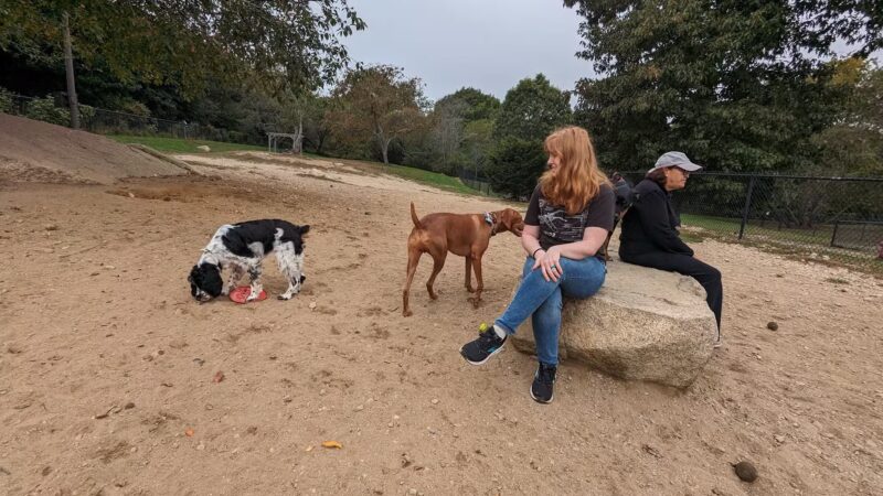 Gloucester Dog Park - Gloucester, MA