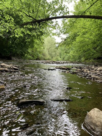 Fonda Johnstown Gloversville Rail Trail Parking - Gloversville, NY