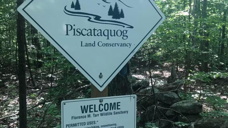 Florence M. Tarr Wildlife Sanctuary - Goffstown, NH