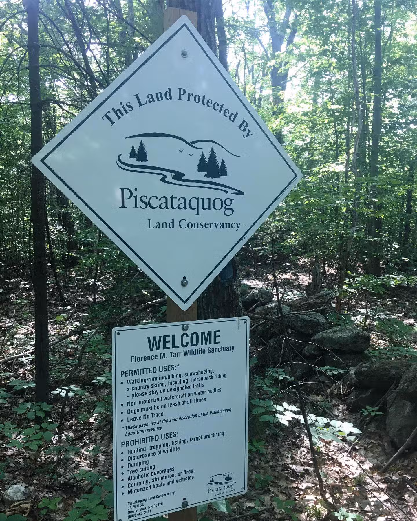 Florence M. Tarr Wildlife Sanctuary - Goffstown, NH