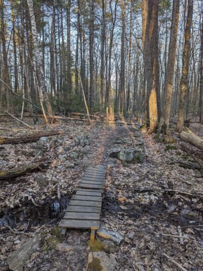 Florence M. Tarr Wildlife Sanctuary - Goffstown, NH