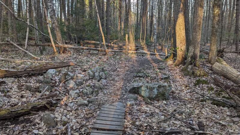 Florence M. Tarr Wildlife Sanctuary - Goffstown, NH