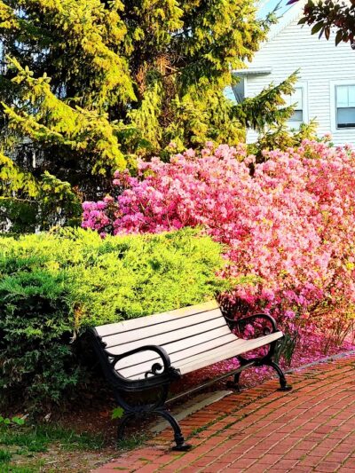 Goffstown Town Common - Goffstown, NH